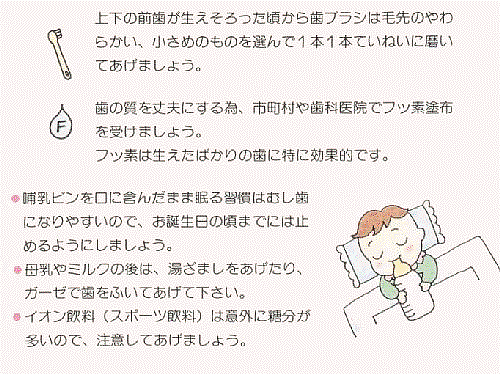 乳幼児期の口のお手入れ方法 一般社団法人新潟県歯科医師会